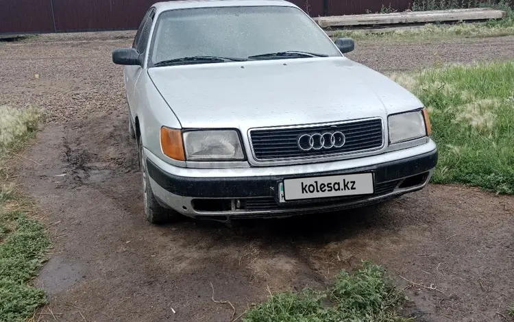 Audi 100 1993 годаүшін1 972 477 тг. в Петропавловск