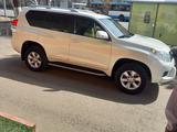 Toyota Land Cruiser Prado 2013 годаүшін16 500 000 тг. в Павлодар