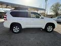 Toyota Land Cruiser Prado 2013 года за 15 550 000 тг. в Шымкент – фото 3