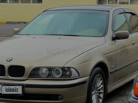 BMW 525 2000 года за 3 900 000 тг. в Талдыкорган – фото 10