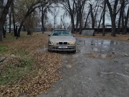 BMW 525 2000 года за 3 900 000 тг. в Талдыкорган – фото 4