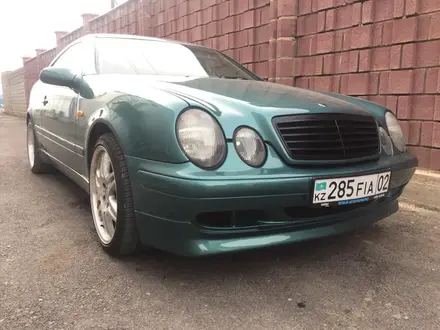 Тюнинг бампер Брабус для Mercedes Benz w208 CLK за 65 000 тг. в Алматы – фото 4