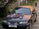 Nissan Cefiro 1997 годаүшін1 500 000 тг. в Алматы