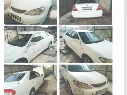 Toyota Camry 2003 года за 3 200 000 тг. в Шымкент