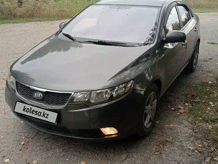 Kia Cerato 2013 года за 3 400 000 тг. в Усть-Каменогорск