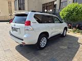 Toyota Land Cruiser Prado 2011 года за 13 500 000 тг. в Шымкент – фото 4