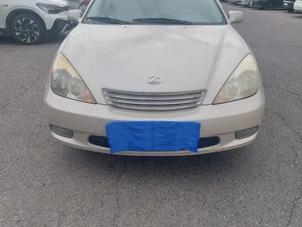 Lexus ES 300 2003 года за 5 400 000 тг. в Алматы – фото 11