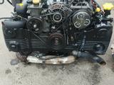 Двигатель Ej205 Turbo за 100 тг. в Алматы