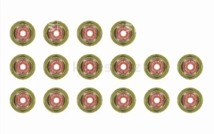 Комплект маслосъёмных колпачков.N57D30B за 13 500 тг. в Шымкент