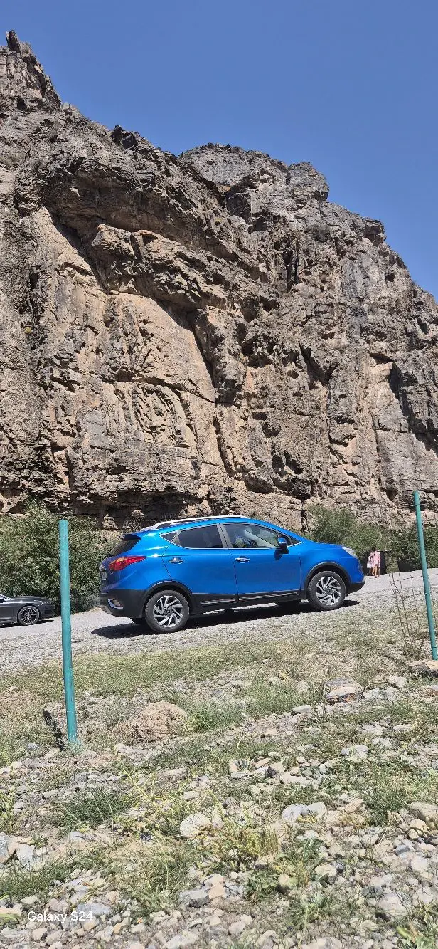 JAC S3, 2017