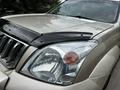 Toyota Land Cruiser Prado 2007 годаүшін12 700 000 тг. в Алматы – фото 11
