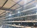 МЕХАНИКА КОРОБКА ПЕРЕДАЧ ФОРД за 65 000 тг. в Алматы – фото 5