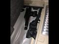 Infiniti QX56 2011 годаүшін12 777 000 тг. в Астана – фото 47