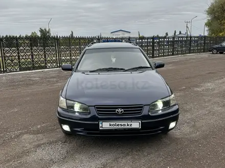 Toyota Camry Gracia 1997 года за 3 800 000 тг. в Алматы