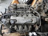 Двигатель на honda за 280 000 тг. в Алматы – фото 2