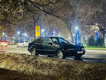 BMW 523 1999 года за 3 350 000 тг. в Алматы – фото 27