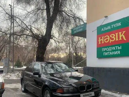 BMW 523 1999 года за 3 350 000 тг. в Алматы – фото 36