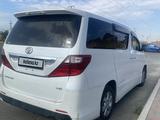 Toyota Alphard 2011 годаүшін5 900 000 тг. в Атырау – фото 4