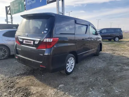 Toyota Alphard 2010 года за 8 200 000 тг. в Туркестан – фото 5