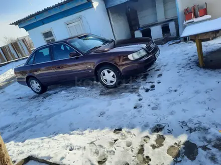 Audi A6 1995 года за 3 100 000 тг. в Шымкент