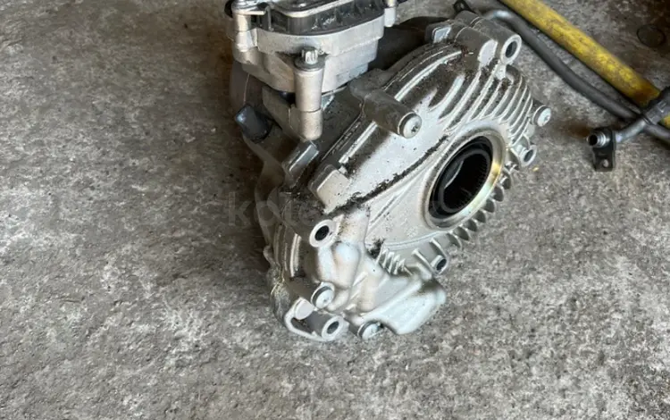 Раздатка за 2 000 тг. в Алматы