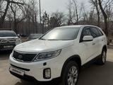 Kia Sorento 2012 года за 7 900 000 тг. в Кокшетау