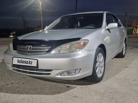 Toyota Camry 2004 года за 4 950 000 тг. в Алматы