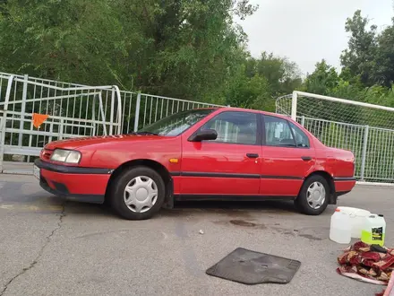 Nissan Primera 1992 года за 900 000 тг. в Алматы – фото 4