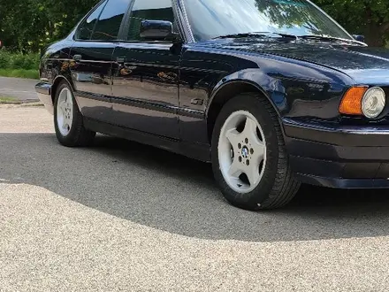 BMW 525 1995 годаүшін2 200 000 тг. в Шымкент – фото 10