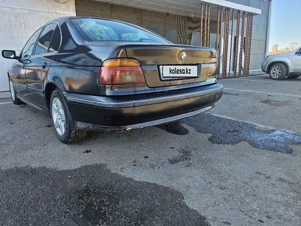 BMW 525 2002 года за 3 250 000 тг. в Астана – фото 5