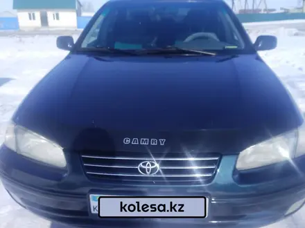 Toyota Camry 1998 года за 4 500 000 тг. в Акжар – фото 19