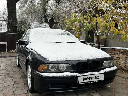 BMW 530 2002 года за 5 500 000 тг. в Алматы – фото 7