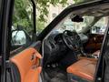 Nissan Patrol 2023 года за 42 500 000 тг. в Алматы – фото 4