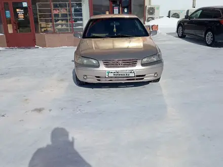 Toyota Camry 1999 года за 3 600 000 тг. в Алтай