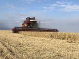 Essil 2017 годаүшін40 000 000 тг. в Костанай