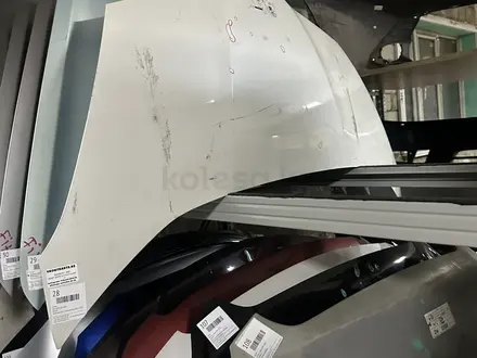 Капот оригинал Honda Fit (GE) Хонда Фит 2 поколение за 80 000 тг. в Павлодар