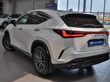 Lexus NX 250 2022 годаүшін27 390 000 тг. в Алматы – фото 4
