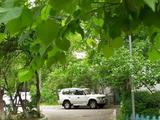 Toyota Land Cruiser Prado 1998 годаүшін6 500 000 тг. в Алматы