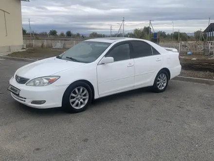 Toyota Camry 2003 года за 4 200 000 тг. в Талдыкорган – фото 2