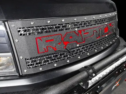 Решетка радиатора BMS RAPTOR для Ford F-150 Raptor 2009-2014 за 119 780 тг. в Алматы – фото 2
