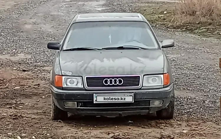 Audi 100 1992 года за 1 000 000 тг. в Жетысай