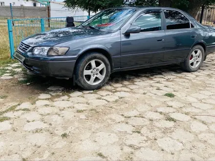 Toyota Camry 2000 года за 3 500 000 тг. в Узынагаш – фото 4