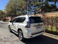 Toyota Land Cruiser Prado 2020 годаүшін25 000 000 тг. в Караганда – фото 3