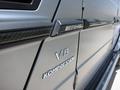 Карбоновые молдинги на Mercedes G-class W463 за 70 000 тг. в Алматы