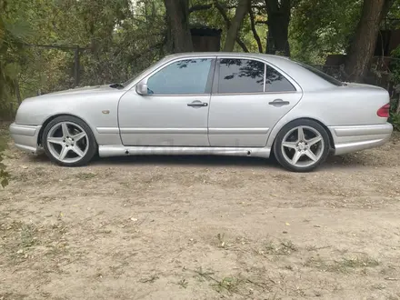 Mercedes-Benz E 55 AMG 1996 года за 3 400 000 тг. в Алматы – фото 5