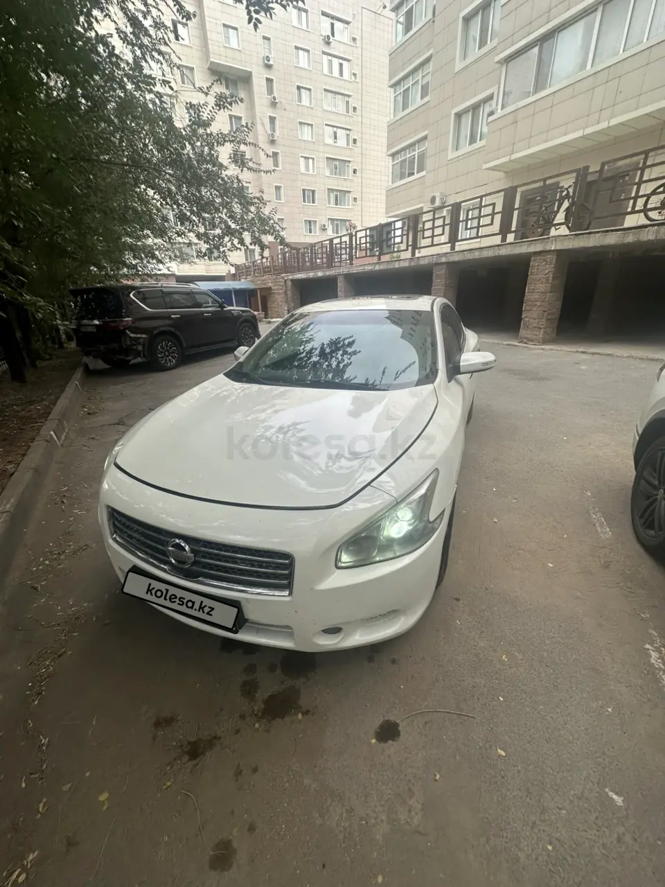 Nissan Maxima, 2010