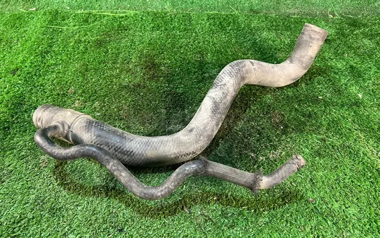 Патрубок шланг охлаждения Тойота Сиенна 20 3.5 2gr за 10 000 тг. в Алматы