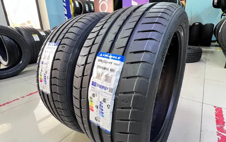 225/45R18 — 255/40R18 Triangle 2024 EffexsporT TH202үшін118 200 тг. в Алматы