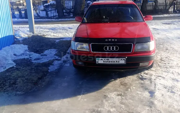 Audi 100 1991 года за 1 600 000 тг. в Талдыкорган