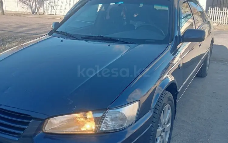 Toyota Camry 1998 года за 3 100 000 тг. в Тараз